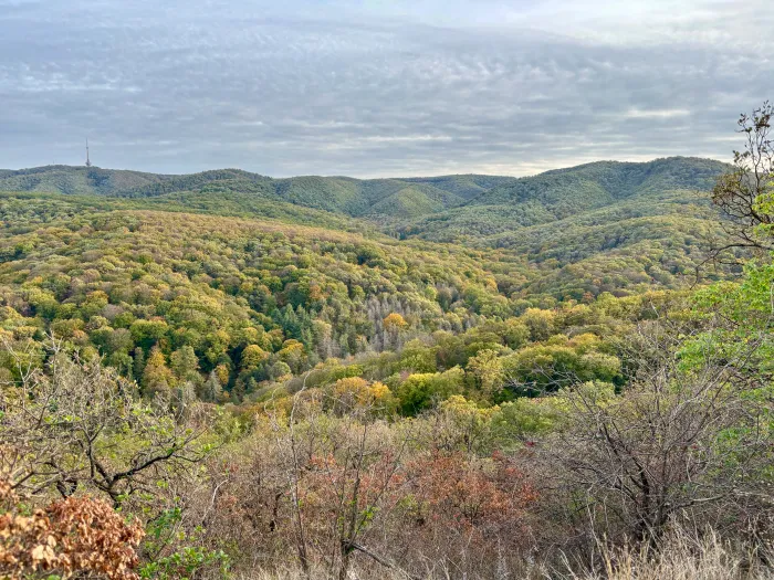 The hills of Fruska Gora National Park